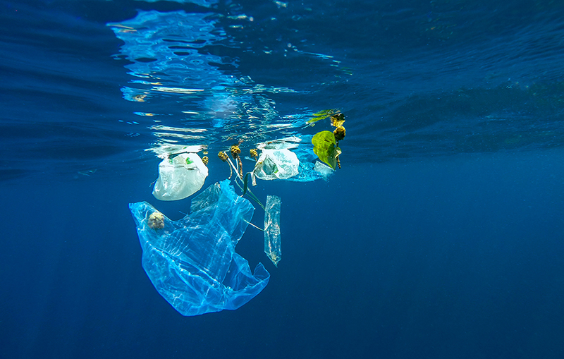 Når havet blir forurenset av plast