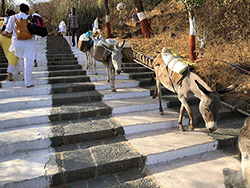 Trappetrinn - veien opp til Det hellige temlet til Jainerne