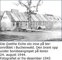 Goehte Eiche i leirområdet Buchenwald