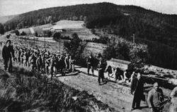 Deportees from Natzweiler.jpg