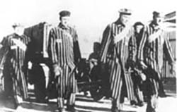 Fanger i Sachsenhausen